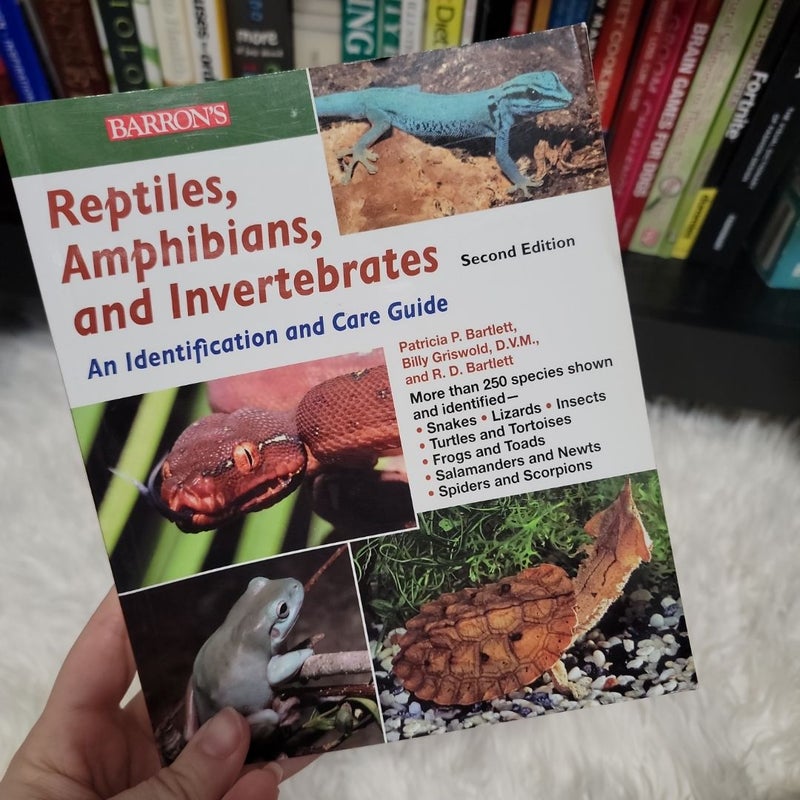 Reptiles, Amphibians. And Invertibrates