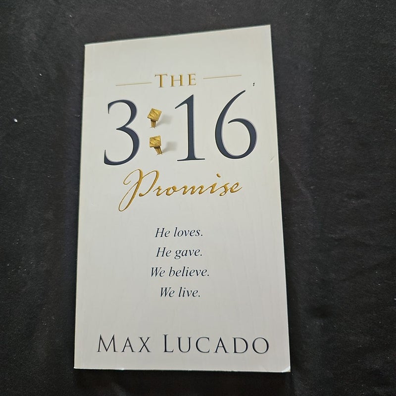 The 3:16 Promise