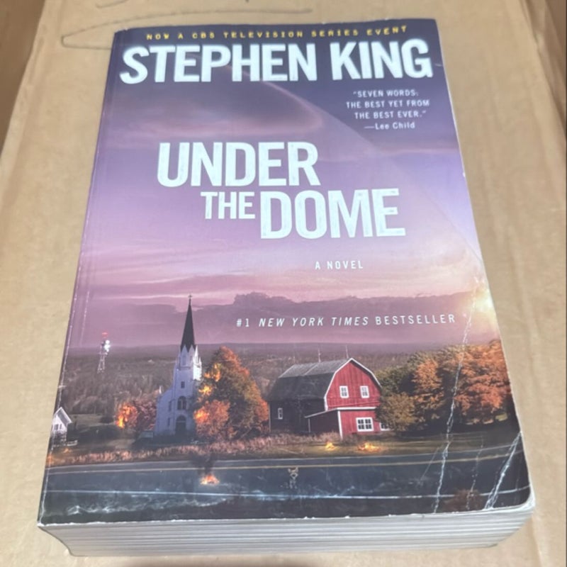 Under the Dome 108