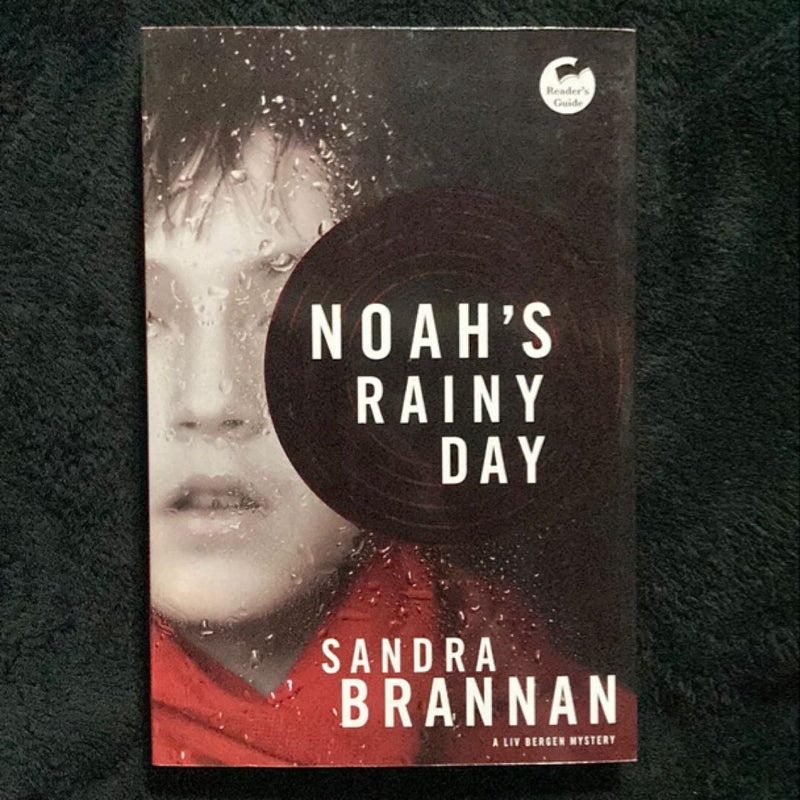 Noah's Rainy Day