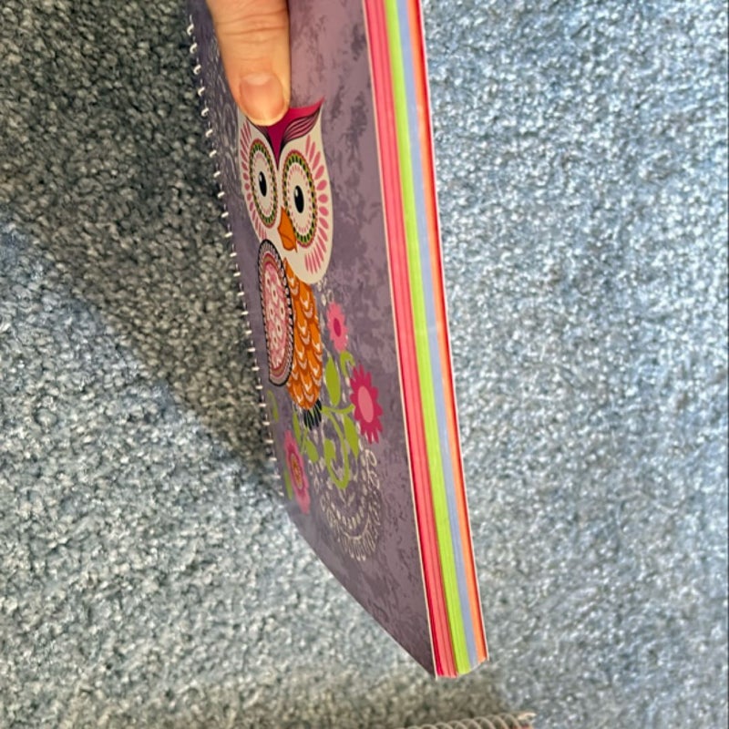 Owl Notebook