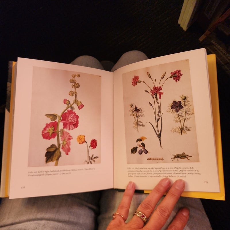 Mr. Marshal's Flower Book