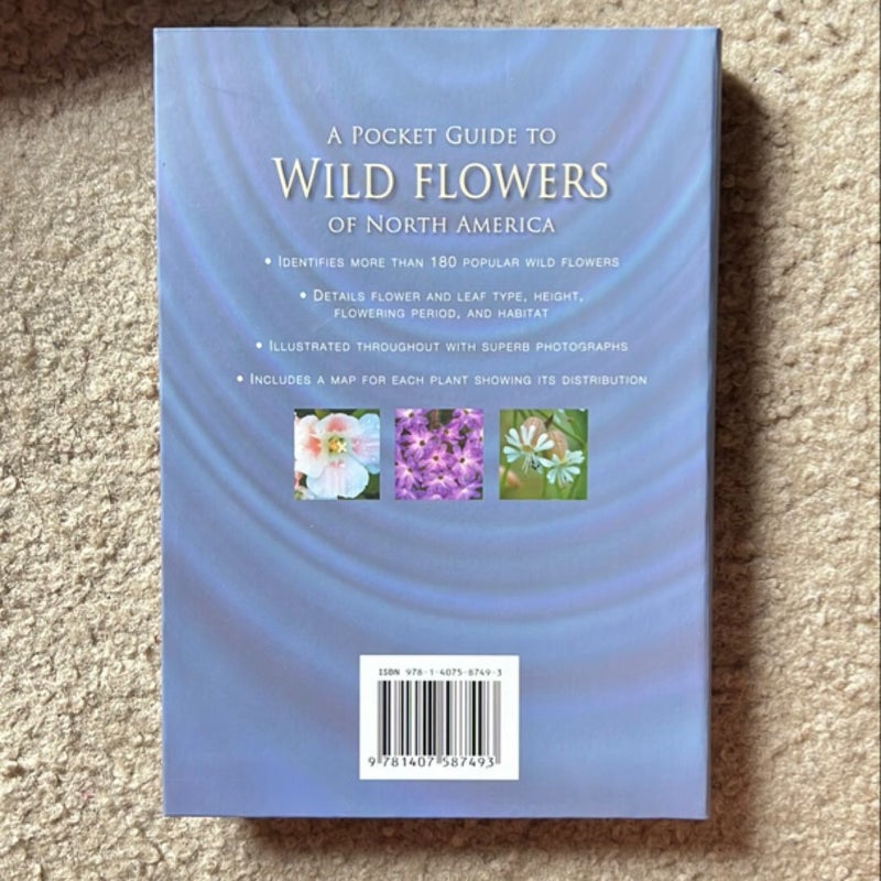 A Pocket Guide to Wild Flowers of North America