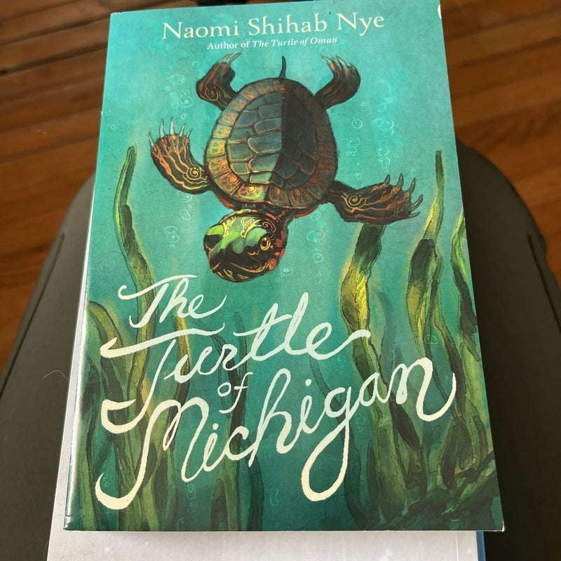 The Turtle of Michigan