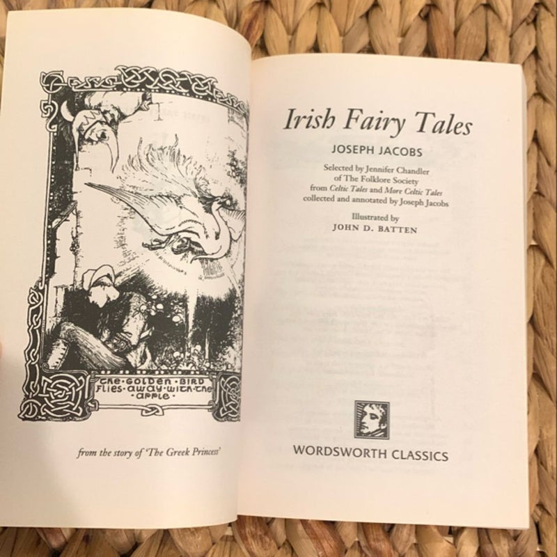 Irish Fairy Tales