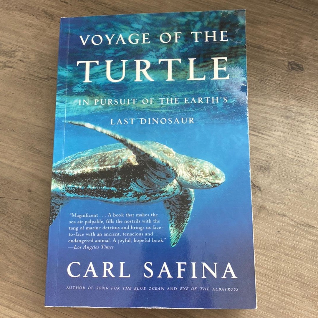 Voyage of the Turtle