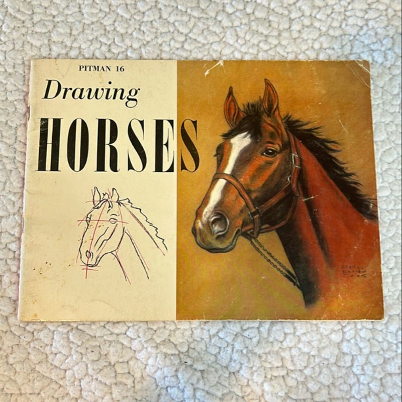 Drawing Horses