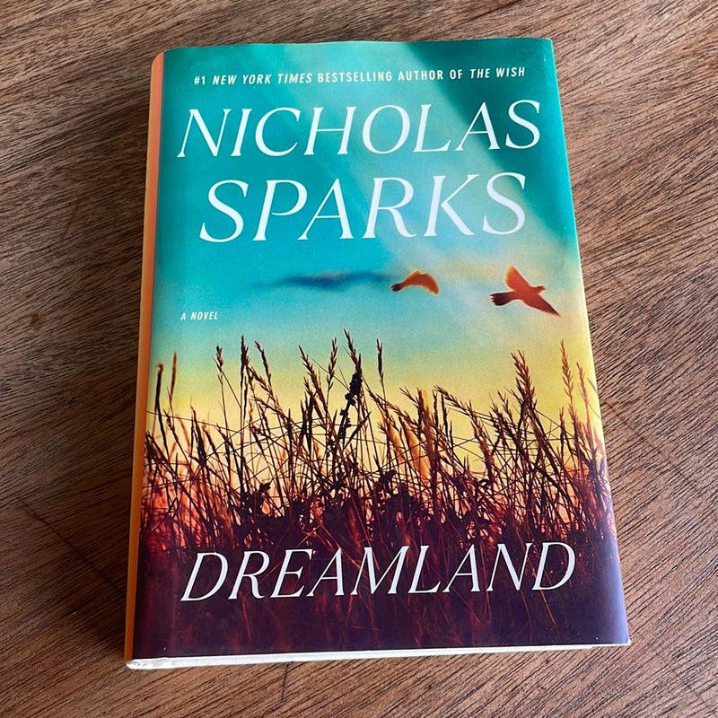 Dreamland *first edition 