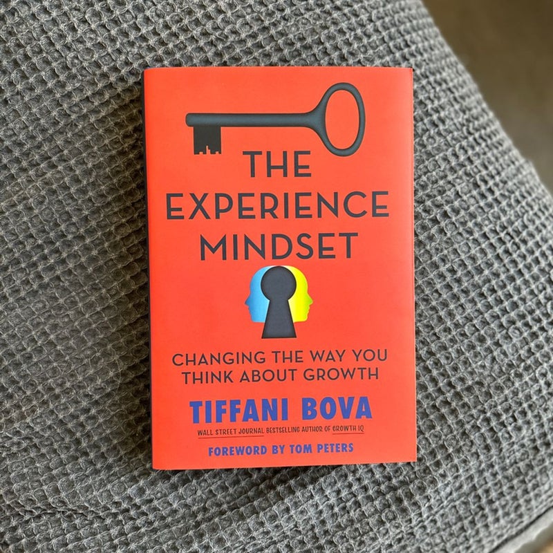 The Experience Mindset
