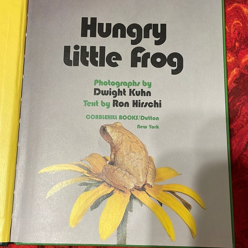 Hungry Little Frog