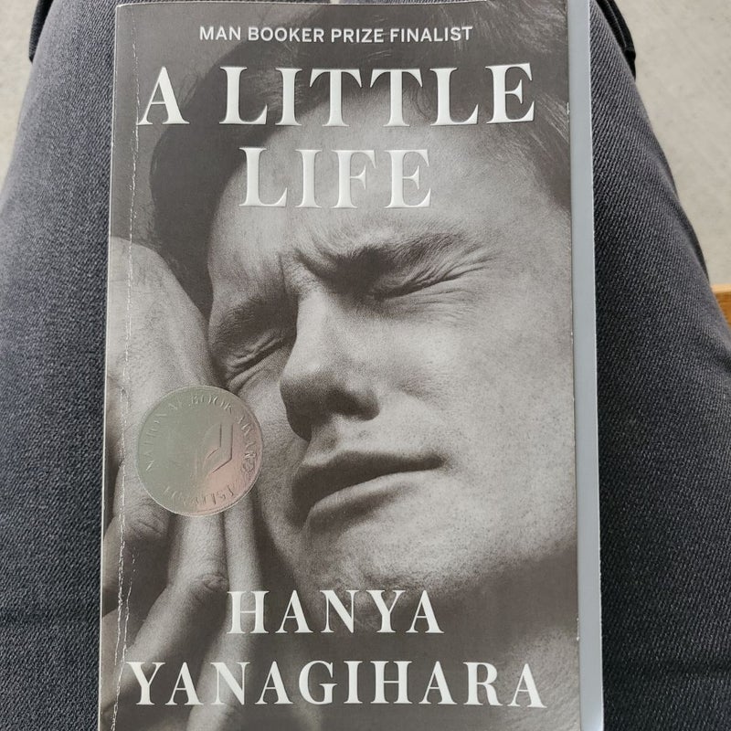 A Little Life