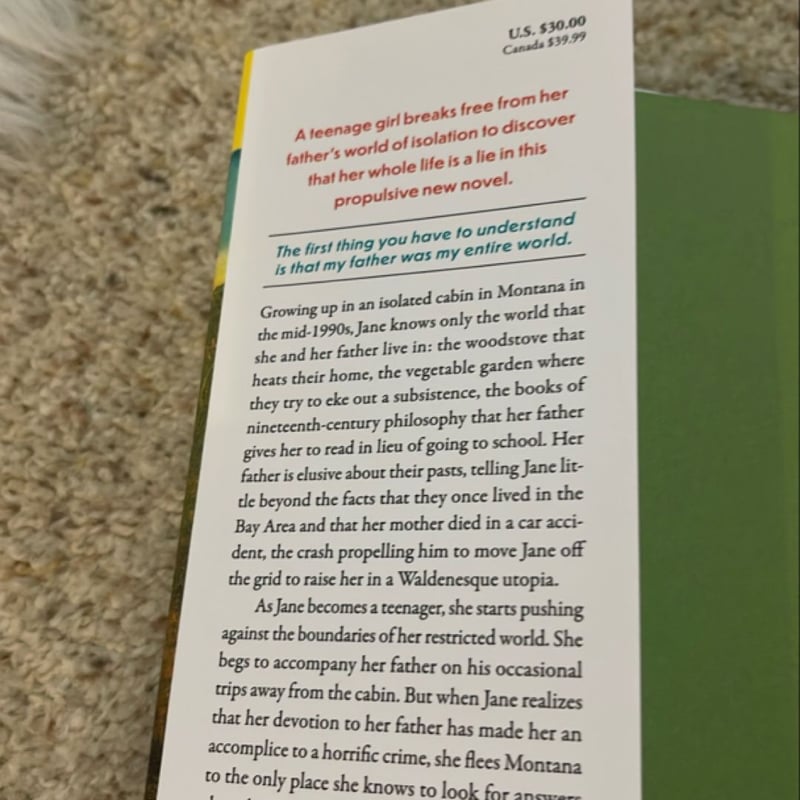 What Kind of Paradise