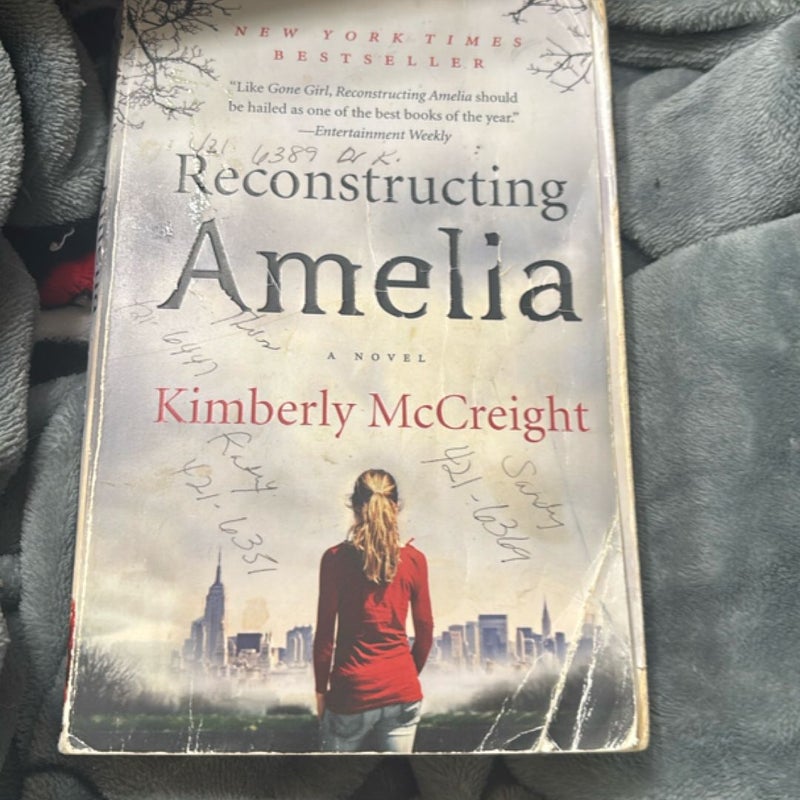 Reconstructing Amelia