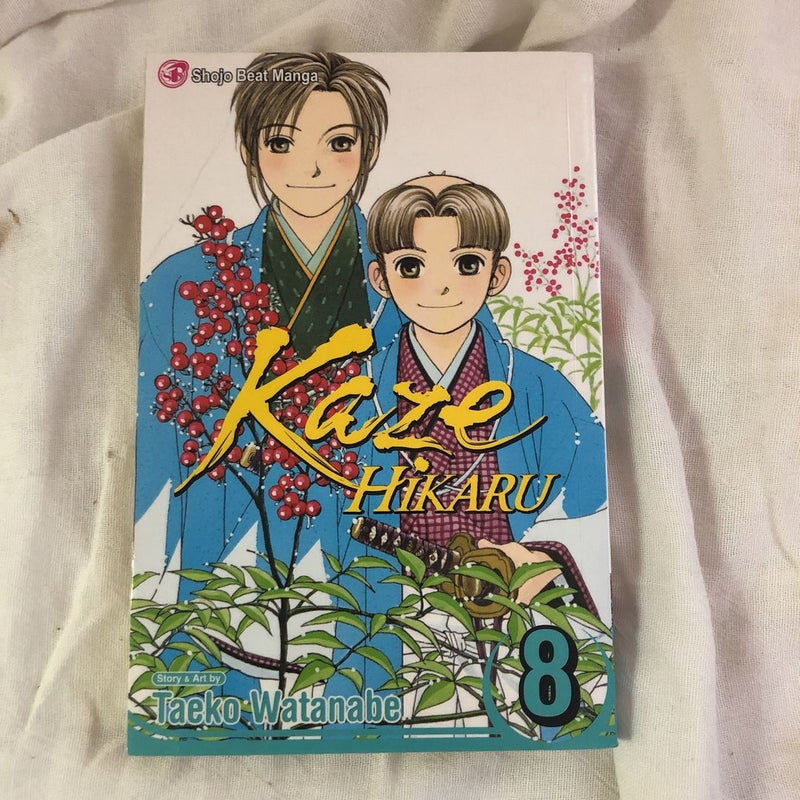 Kaze Hikaru, Vol. 8