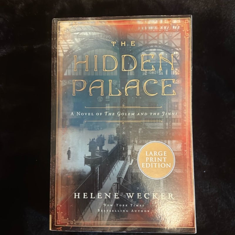 The Hidden Palace (Large Print Edition) 