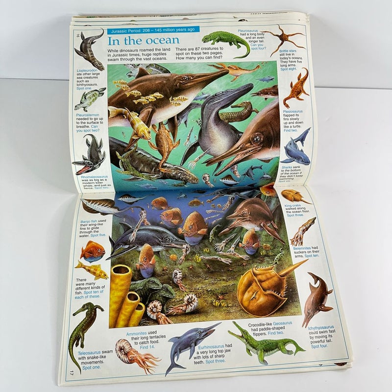 Usborne The Great Dinosaur Search