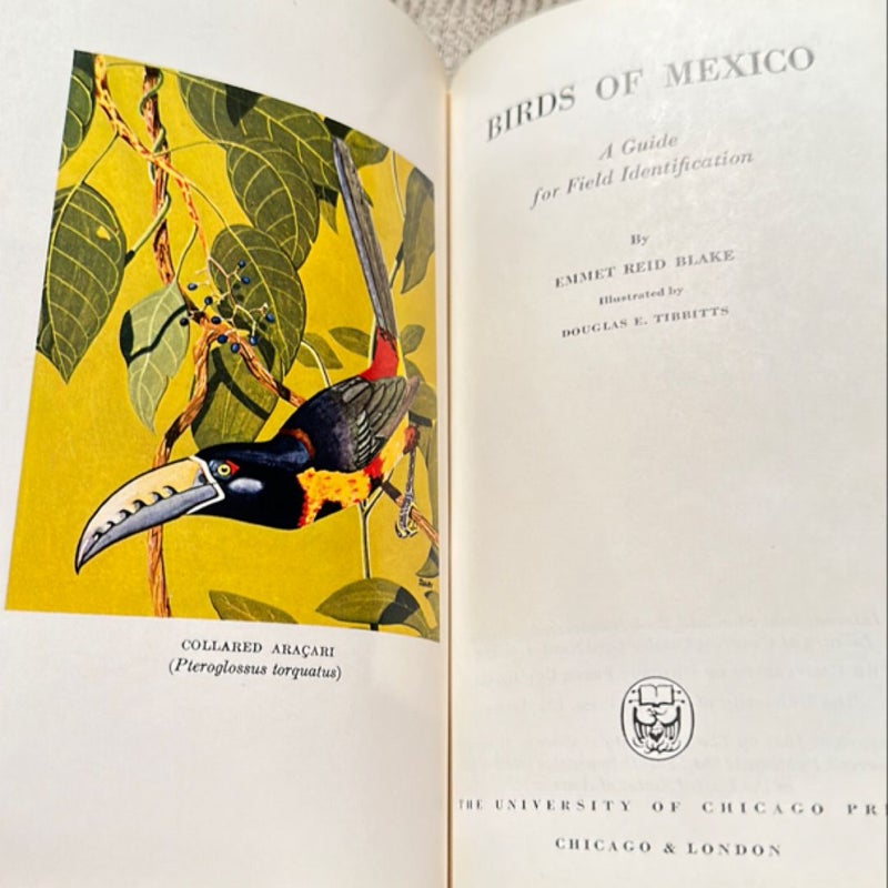 Birds of Mexico