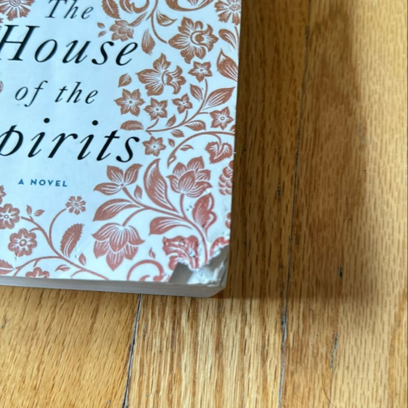 The House of the Spirits