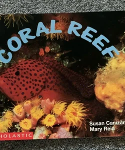 Coral reef 