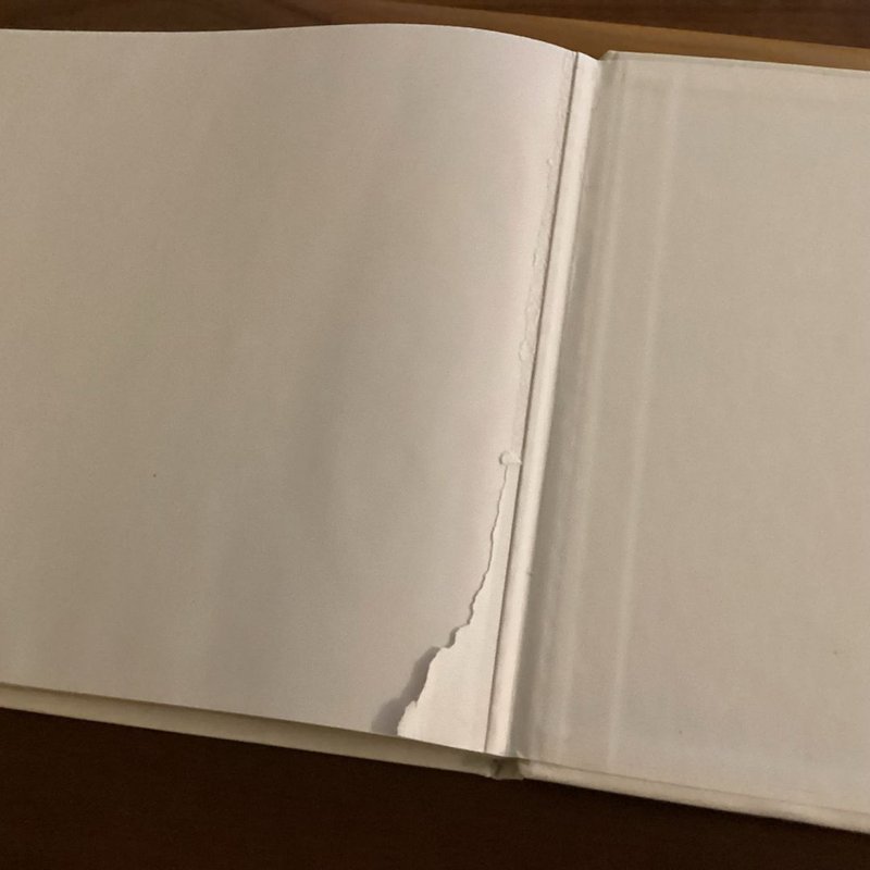 Follow the Moon Home