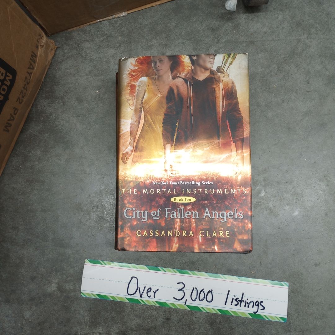 City of Fallen Angels