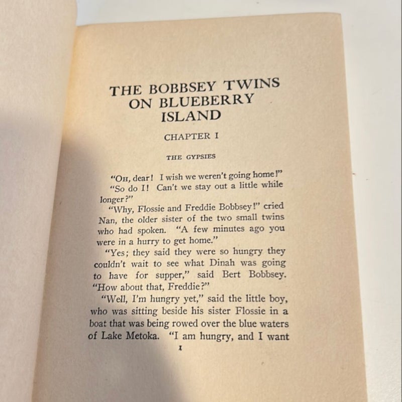 The Bobbsey Twins on Blueberry Island