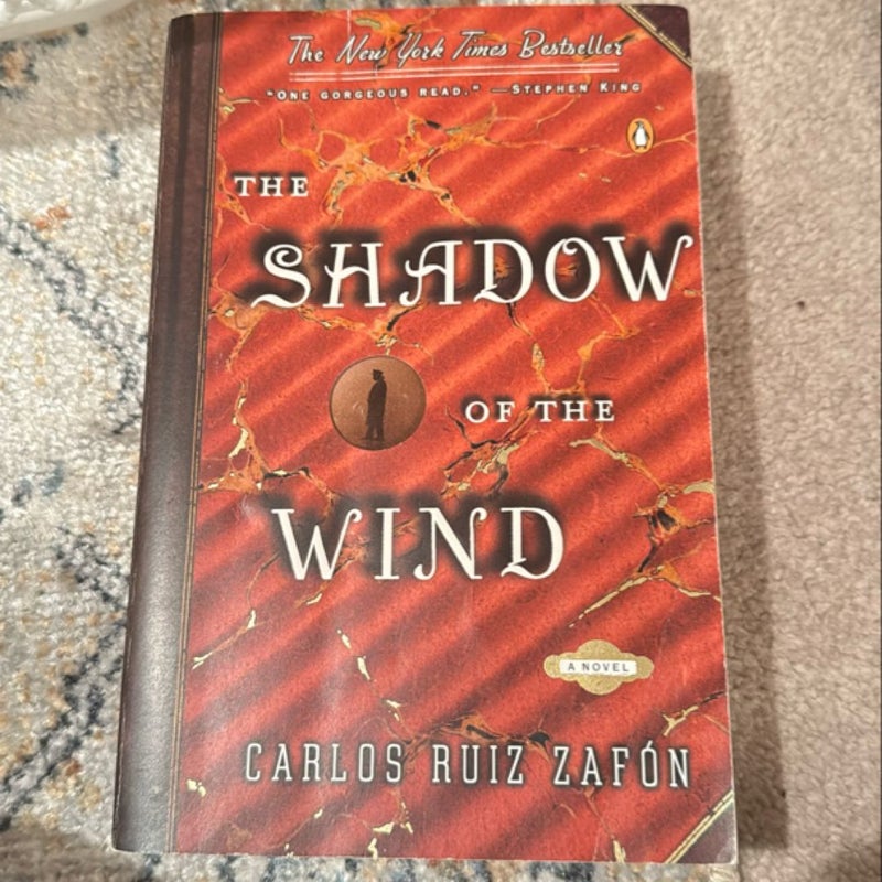 The Shadow of the Wind