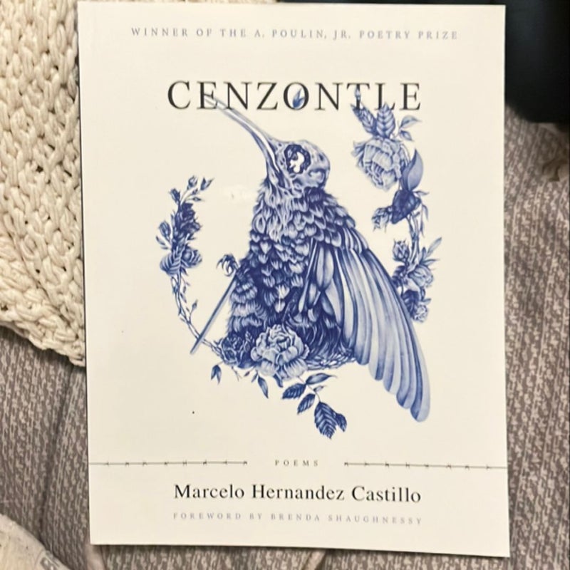 Cenzontle