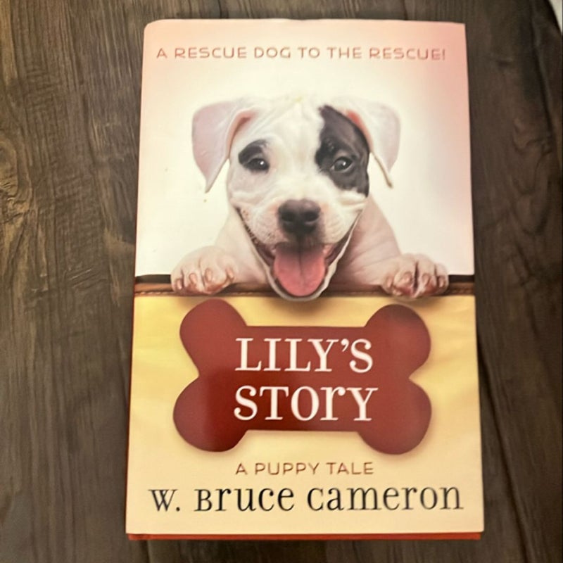 Lily's Story