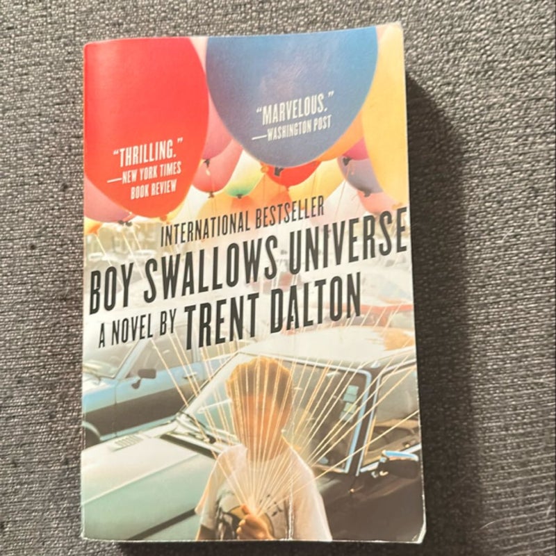 Boy Swallows Universe
