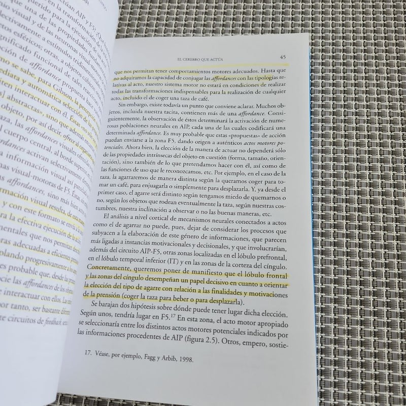Las neuronas espejo