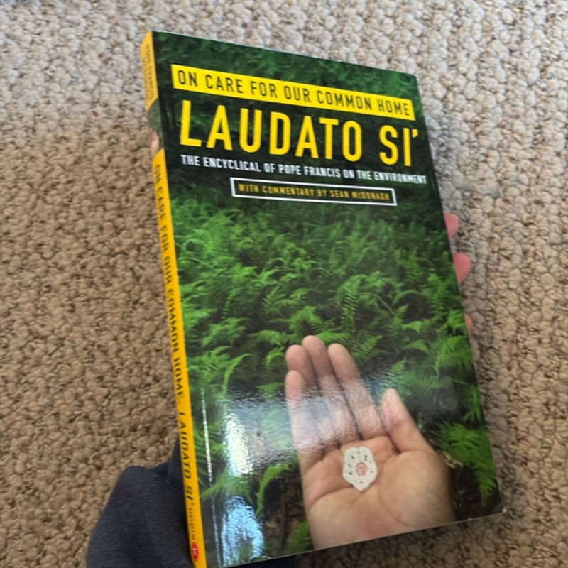 On Care for Our Common Home