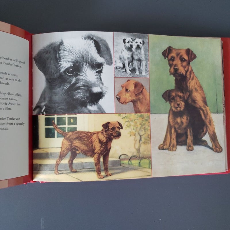 The Red Book of Dogs 1st Edition 