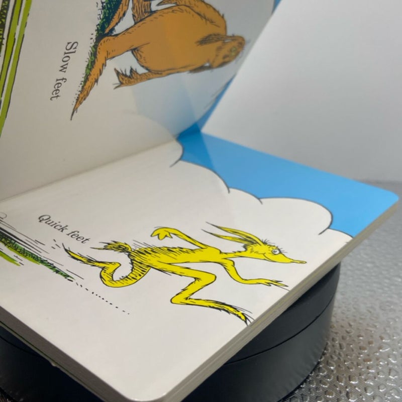 The Foot Book