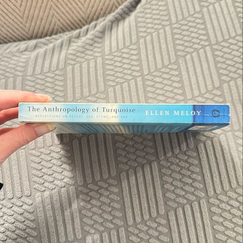 The Anthropology of Turquoise