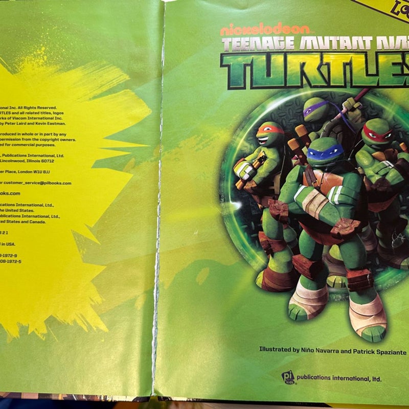 Teenage Mutant Ninja Turtles Look and Fins