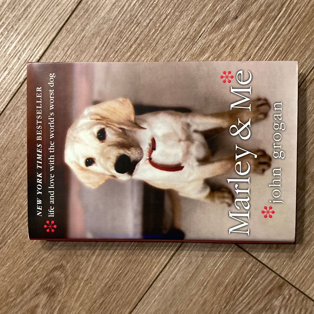 Sale image for d2f26bb9-03e6-40ef-875a-7fd0a94936fc-GezFdXNRBtSBHVzafyGfwK42m6B2