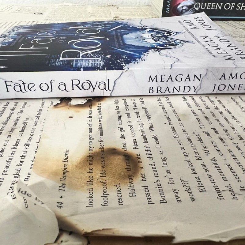 Fate Of A Royal Meagan Brandy OOP paperback Lorde of Rathe Duet Book 1