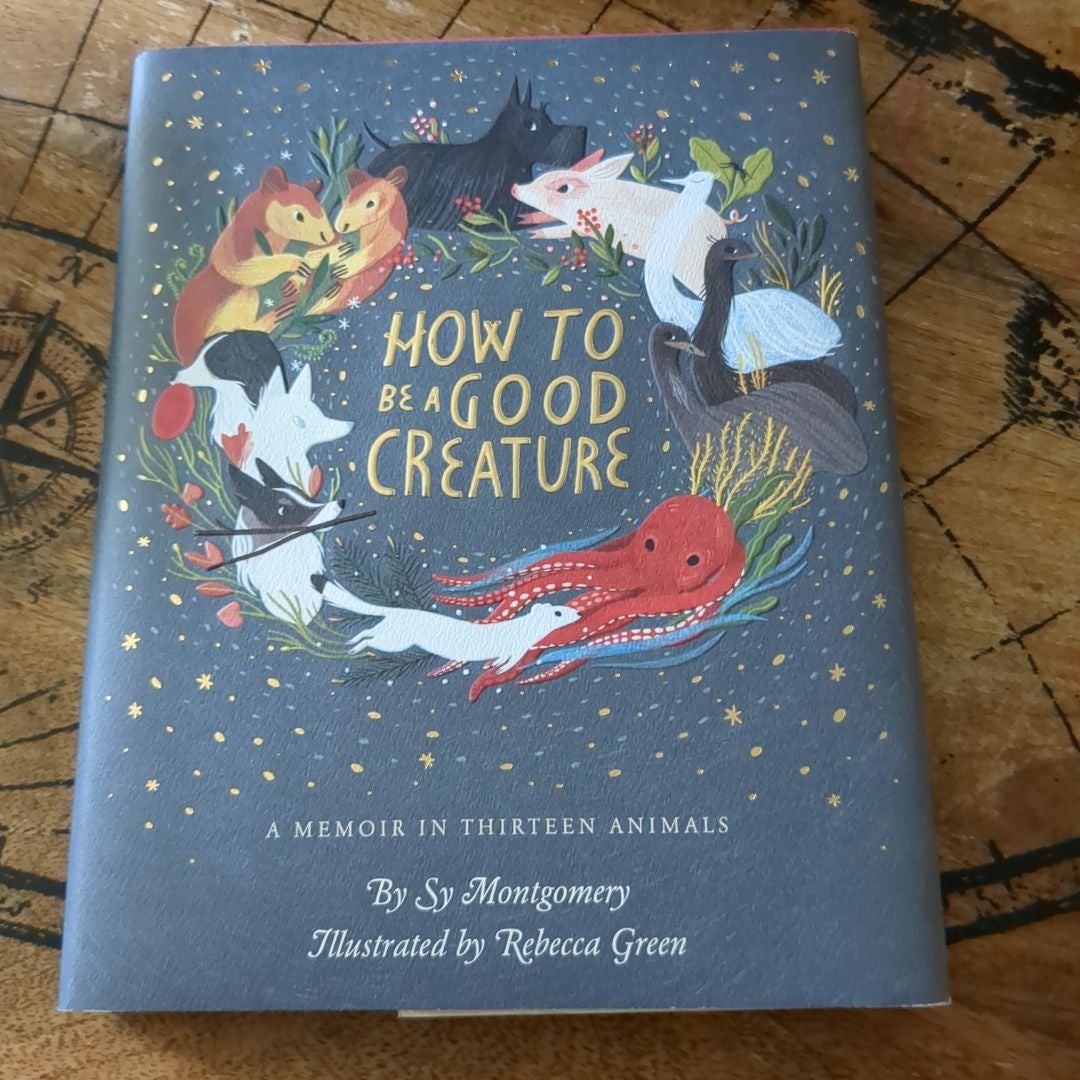 Sale image for 8e168132-d4c7-42c1-b07a-11c03ffcc73d-H42CjMh41aZX0ZW0SXkOuYhidm83