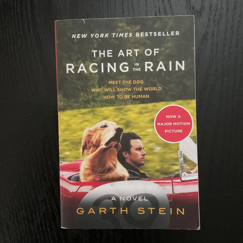 The Art of Racing in the Rain 