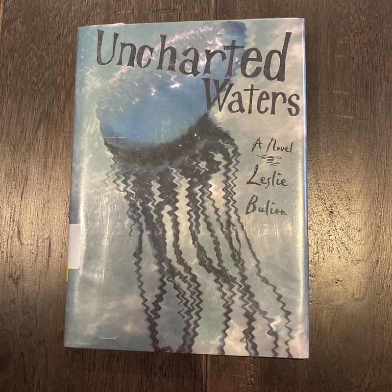 Uncharted Waters