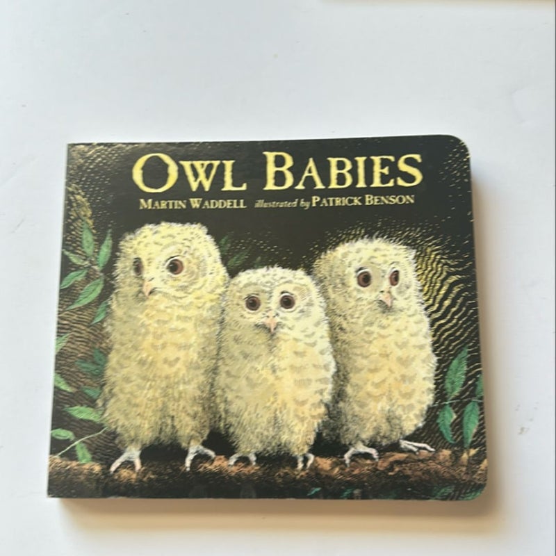 Owl Babies