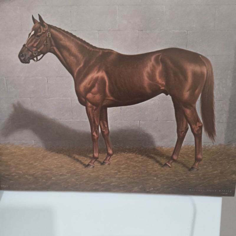 Classic decade of champions horse book