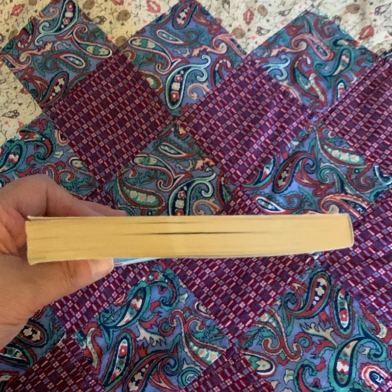 The Year of Pleasures