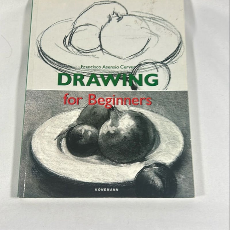 Drawing for Beginners