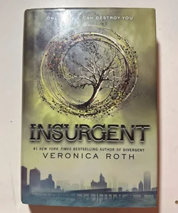 Insurgent