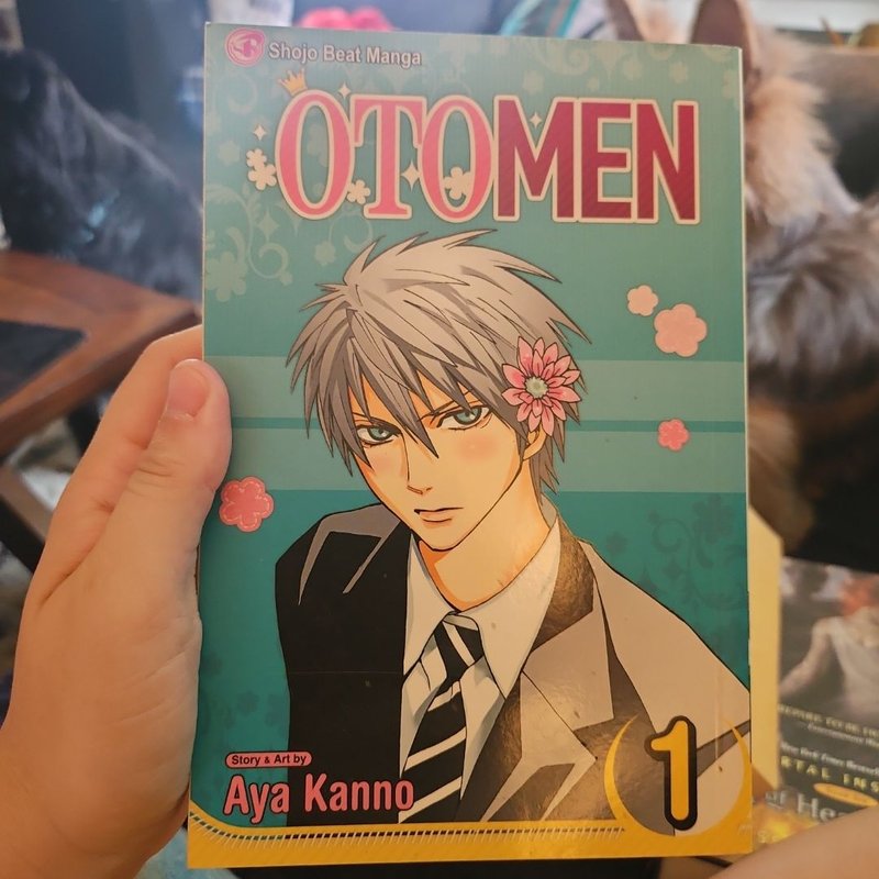 Otomen, Vol. 1