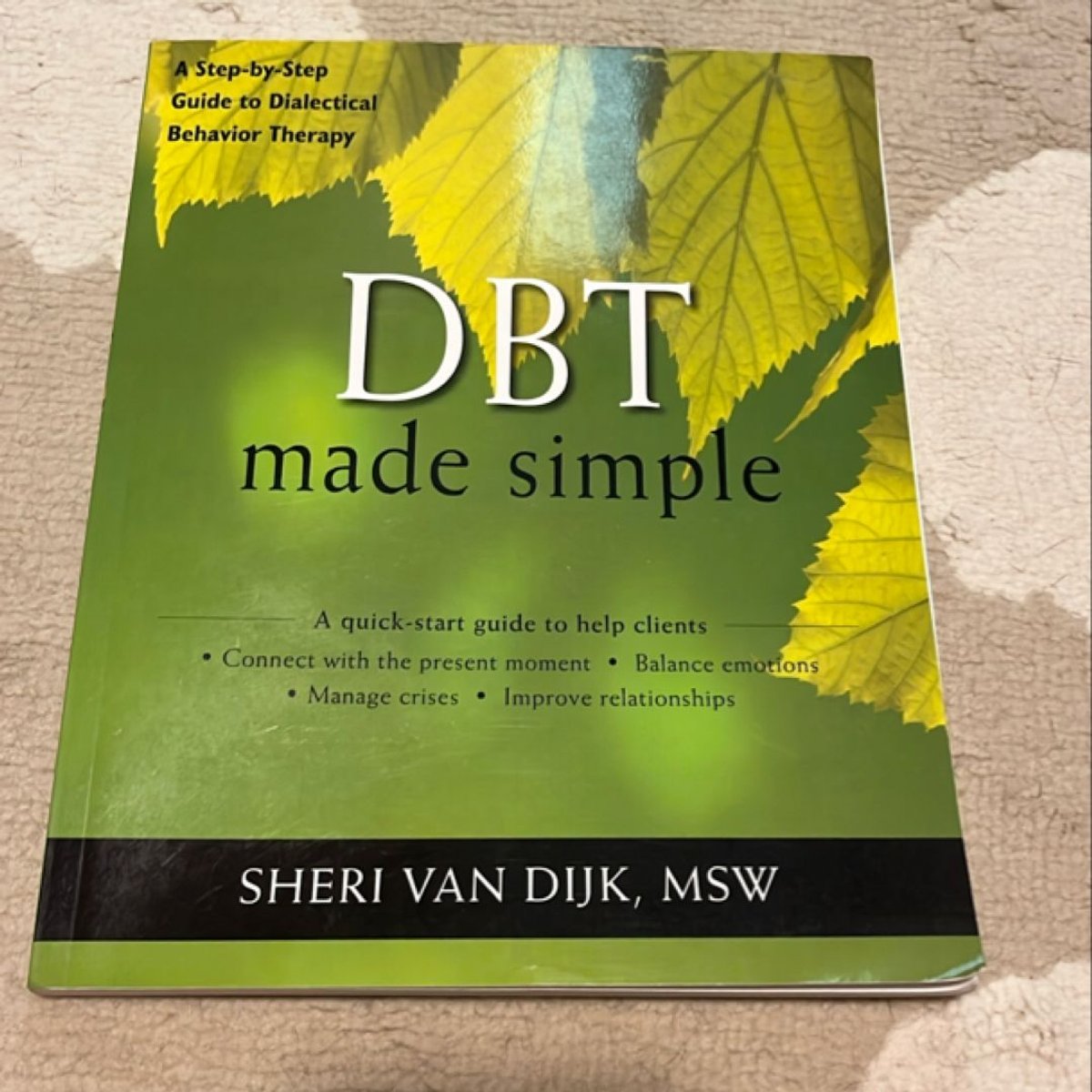DBT Made Simple by Sheri Van Dijk