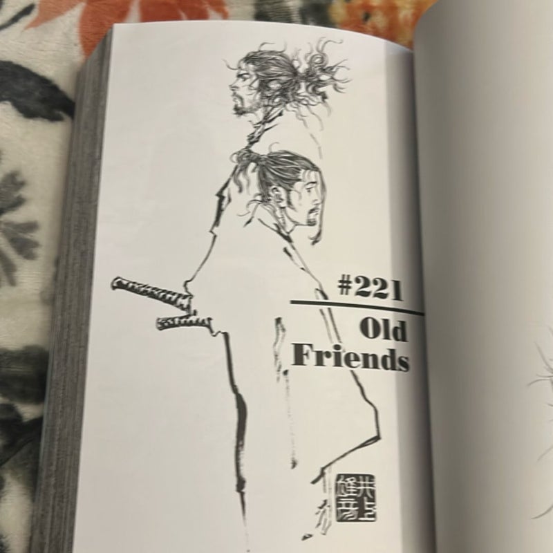 Vagabond (VIZBIG Edition), Vol. 9