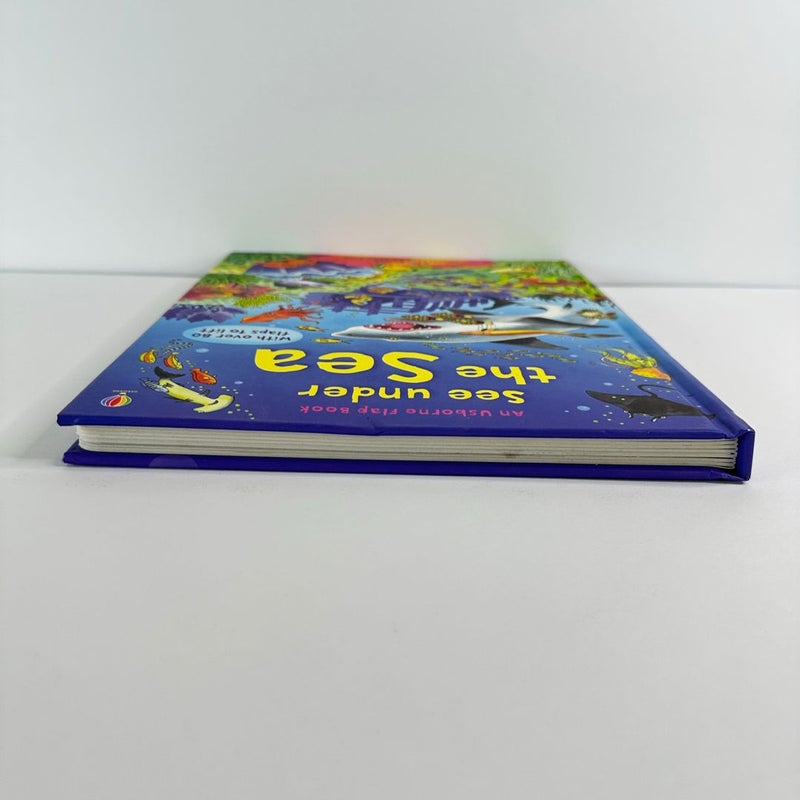 Usborne Flap Book-See Under the Sea